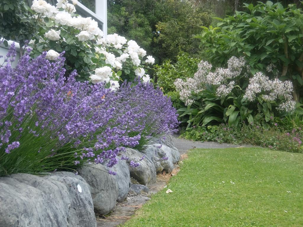 The Point B&B Kaikoura Exteriör bild
