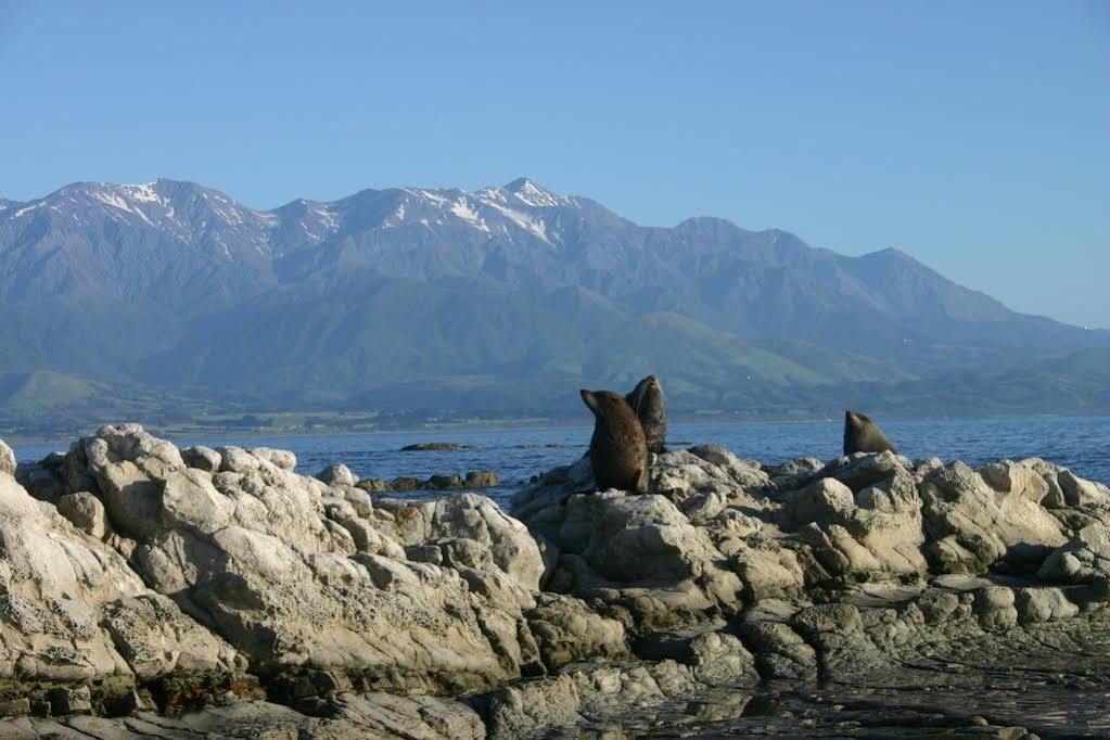 The Point B&B Kaikoura Exteriör bild